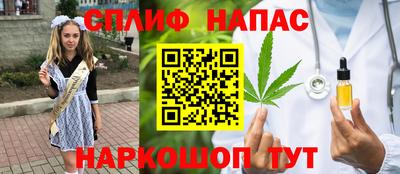 ешки Будённовск